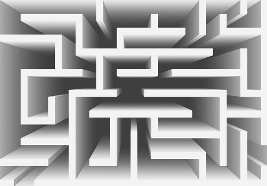 Papier peint photo Polaire | Conception, Labyrinthe | Gris | 368x254cm (lxh)