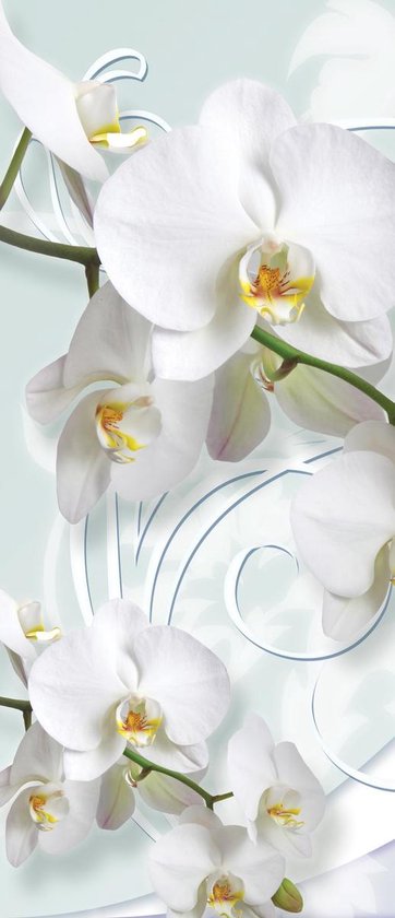 Deursticker Muursticker Orchidee, Bloemen | Wit | 91x211cm