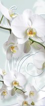 Deursticker Muursticker Orchidee, Bloemen | Wit | 91x211cm