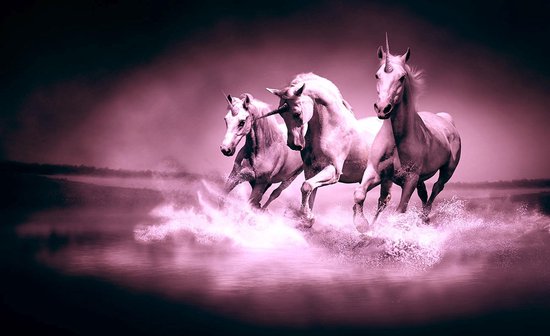 Unicorns Horses Purple Black Photo Wallcovering