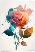 Acrylglas - Abstracte Roos van Verschillende Kleuren op Witte Achtergrond - 50x75 cm Foto op Acrylglas (Met Ophangsysteem)