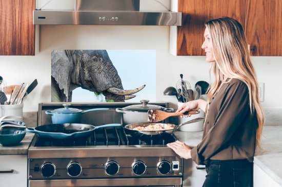 Spatscherm keuken 70x30 cm - Kookplaat achterwand Olifant - Dieren - Grijs - Natuur - Muurbeschermer - Spatwand fornuis - Hoogwaardig aluminium