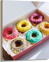 Hout - Gekleurde Donuts met Spikkels in Roze Doos - 75x100 cm - 9 mm dik - Foto op Hout (Met Ophangsysteem)