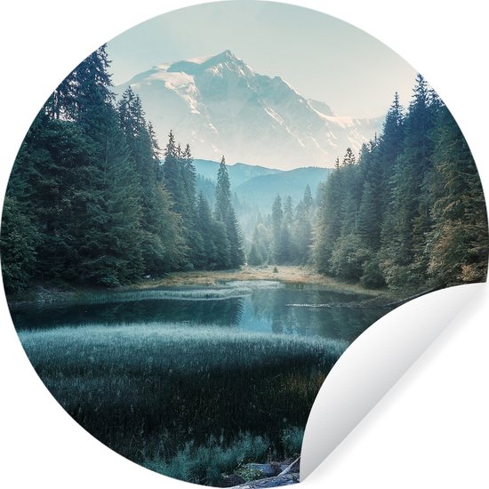 Behangcirkel - Takken - Natuur - Bomen - Wanddecoratie cirkel - Cirkel behang - Behangcirkel zelfklevend - Ronde muurdecoratie - 100x100 cm - Behangsticker - Zelfklevend behang - Woonkamer decoratie