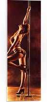PVC Schuimplaat - Sexy Paaldanseres op Podium - 20x60 cm Foto op PVC Schuimplaat (Met Ophangsysteem)