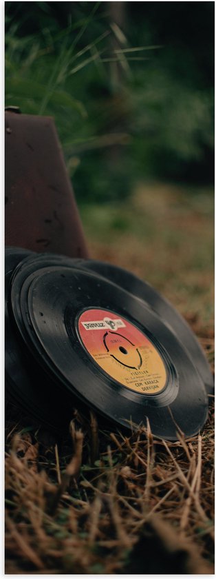 Poster (Mat) - Muziekplaten tegen Vintage Koffer in Landschap - 40x120 cm Foto op Posterpapier met een Matte look