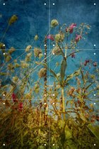 IXXI Heat Flowers - Wanddecoratie - 60 x 40 cm