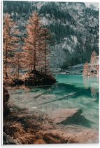 PVC Schuimplaat - Bergen - Bomen - Water - 40x60 cm Foto op PVC Schuimplaat (Met Ophangsysteem)