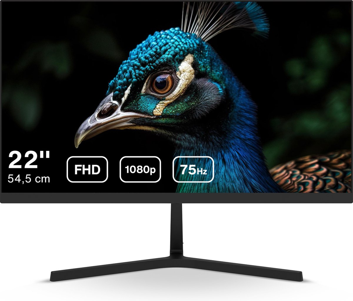 Dahua LM22-B201S - Full HD IPS Monitor - 75 Hz - 22 inch - Inclusief HDMI kabel