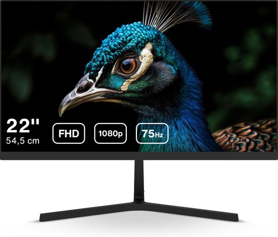 Dahua LM22-B201S - Full HD IPS Monitor - 75 Hz - 22 inch - Inclusief HDMI kabel