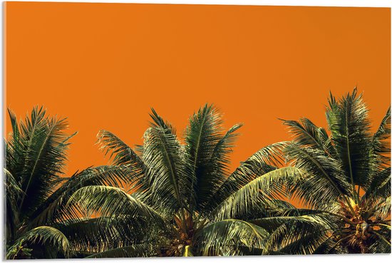 Acrylglas - Toppen van Palmbomen tegen Oranje Lucht - 75x50 cm Foto op Acrylglas (Met Ophangsysteem)