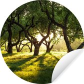 WallCircle - Stickers muraux - Cercle de papier peint - Arbres - Nature - Soleil - 120x120 cm - Cercle mural - Autocollant - Papier peint autocollant rond XXL