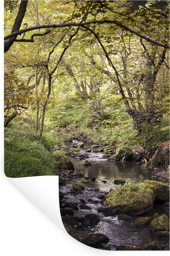 Stickers muraux - Film autocollant - Cerf - Arbre - Forêt - 20x30 cm - Film adhésif - Stickers muraux Chambre d'enfant - Papier peint autocollant