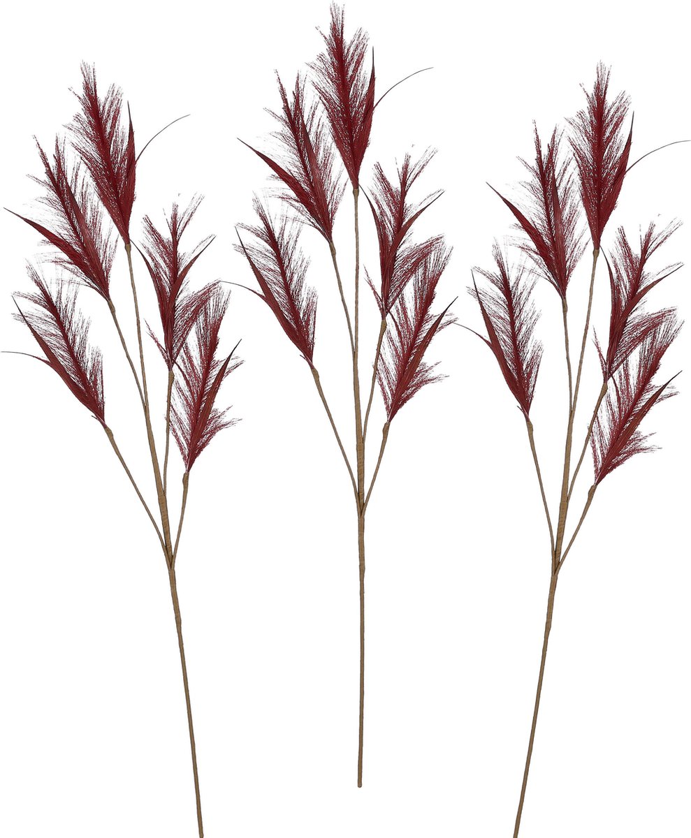 House of Seasons pluimgras losse tak - 3x - meerdere stengels - bordeaux rood - 98 cm - Decoratie
