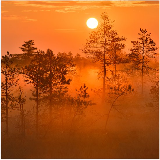 Poster Glanzend – Zonsopkomst bij Bos met Bomen Vol met Mist - 80x80 cm Foto op Posterpapier met Glanzende Afwerking