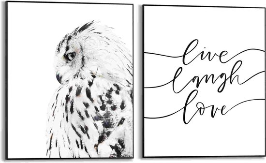 Schilderijen set Lovely Owl 50x40 cm