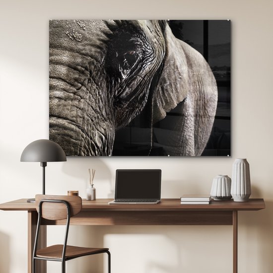 MuchoWow® Peinture sur verre 120x90 cm - Peinture sur verre acrylique - Éléphant - Animaux - Gros plan - Zwart - Photo sur verre - Peintures