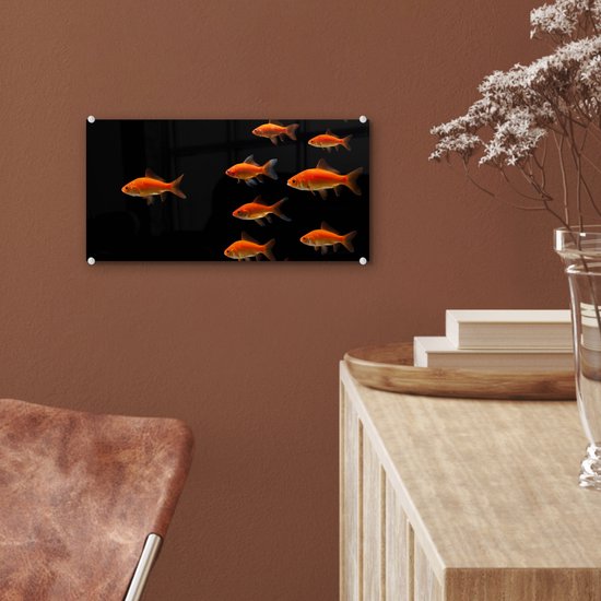 MuchoWow® Peinture sur verre 40x20 cm - Peinture sur verre acrylique - Poisson rouge - Animaux - Zwart - Photo sur verre - Peintures