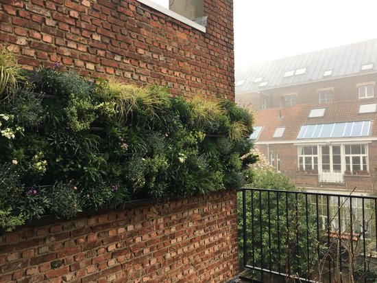 Verticale tuin aan de muur: Tips en inspiratie