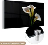 MuchoWow® Glasschilderij 40x20 cm - Schilderij acrylglas - Planten - Bloemen - Wit - Natuur - Botanisch - Foto op glas - Schilderijen