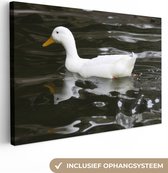 Canvas Schilderij Eend - Wit - Water - 120x80 cm - Wanddecoratie