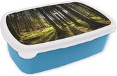 Broodtrommel Blauw - Lunchbox - Brooddoos - Boom - Natuur - Zon - Bos - 18x12x6 cm - Kinderen - Jongen