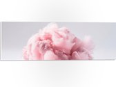 PVC Schuimplaat - Wolk van Zoete Roze Suikerspin - 60x20 cm Foto op PVC Schuimplaat (Met Ophangsysteem)