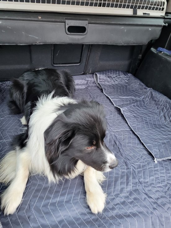 Couverture de Luxe pour chien 200 x 150 cm Couverture de coffre pour siège arrière de voiture Résistant à la saleté et protecteur