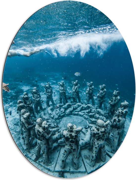 Dibond Ovaal - Zee - Water - Vissen - Beelden - Onderwater - Duiken - 60x80 cm Foto op Ovaal (Met Ophangsysteem)