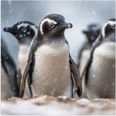 Poster (Mat) - Groep pinguïns waggelen door de sneeuw heen - 50x50 cm Foto op Posterpapier met een Matte look