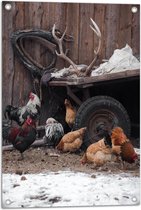 Tuinposter – Groepje Kippen Lopend bij Wagen op Boerderij - 50x75 cm Foto op Tuinposter (wanddecoratie voor buiten en binnen)