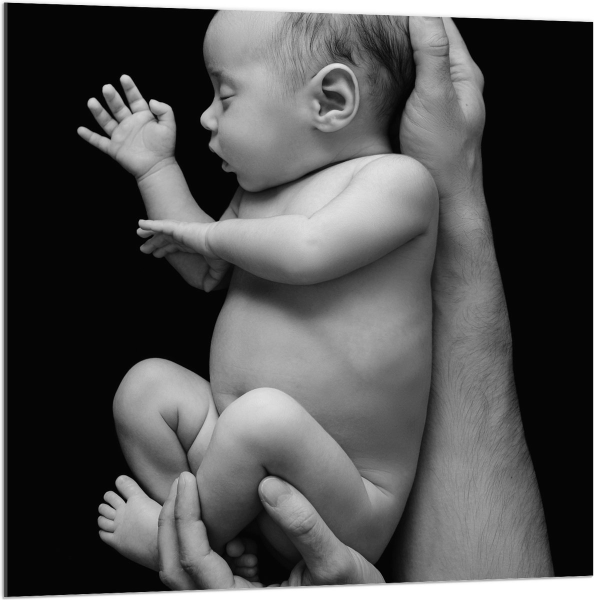 Acrylglas - Pasgeboren Baby in Handen van Vader (Zwart- wit) - 100x100 cm Foto op Acrylglas (Met Ophangsysteem)