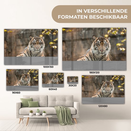 MuchoWow® Peinture sur verre - Tigre - Rochers - Feuilles - 180x120 cm - Peintures sur verre acrylique - Photo sur Glas