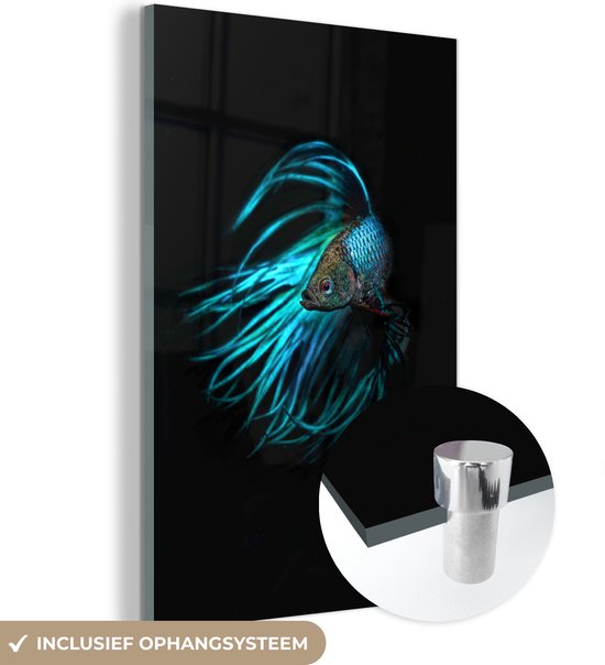 MuchoWow® Glasschilderij 120x180 cm - Schilderij acrylglas - Vis - Zeedieren - Blauw - Zwart - Foto op glas - Schilderijen