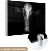 MuchoWow® Glasschilderij 120x80 cm - Schilderij acrylglas - Koe - Dieren - Zwart - Foto op glas - Schilderijen