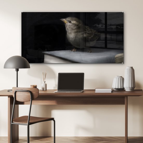 MuchoWow® Glasschilderij 120x60 cm - Schilderij acrylglas - Vogel - Boeken - Portret - Foto op glas - Schilderijen