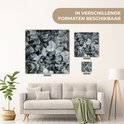 Afbeelding nummer  9