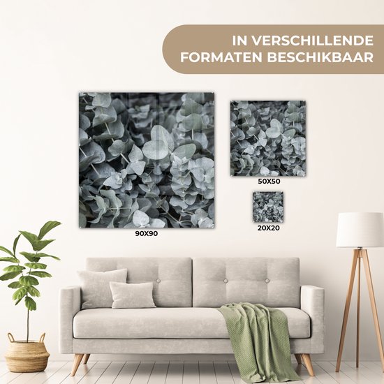MuchoWow® Glasschilderij 90x90 cm - Schilderij acrylglas - Natuur - Planten - Eucalyptus - Bladeren - Foto op glas - Schilderijen