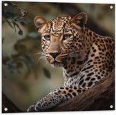 Tuinposter – Luipaard Sluipend achter Boomstronk - 80x80 cm Foto op Tuinposter (wanddecoratie voor buiten en binnen)