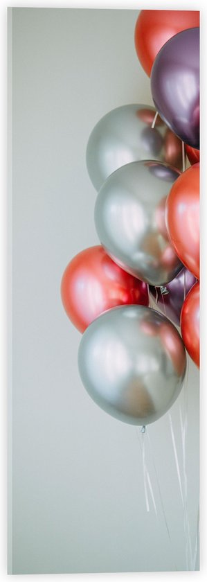 Acrylglas - Ballonnen - Metallic - Rood - Paars - Zilver - 20x60 cm Foto op Acrylglas (Met Ophangsysteem)