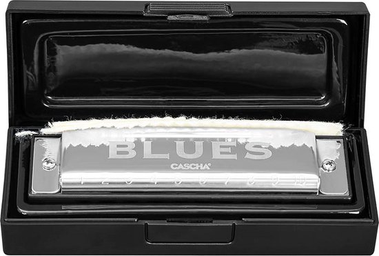 Cascha Blues Harmonica professionnel pour Adultes en tonalité A avec  chiffon de