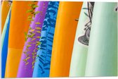 Acrylglas - Rij Verschillende Kleuren Surfboards - 75x50 cm Foto op Acrylglas (Met Ophangsysteem)
