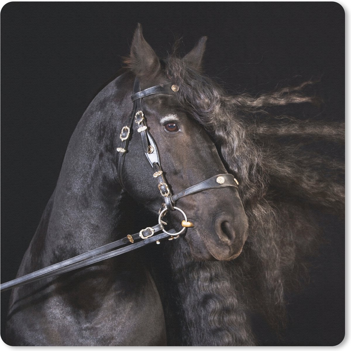 Muismat 20x20 cm - Mousepad Paard - Halster - Manen - Muismatten