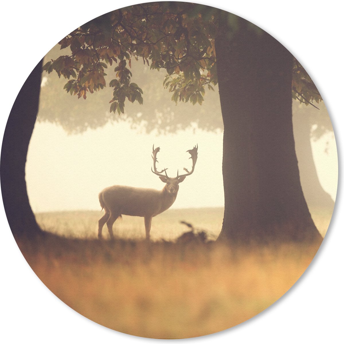 Muismat rond 40x40 cm - Mousepad Hert - Bomen - Bos - Ronde muismatten