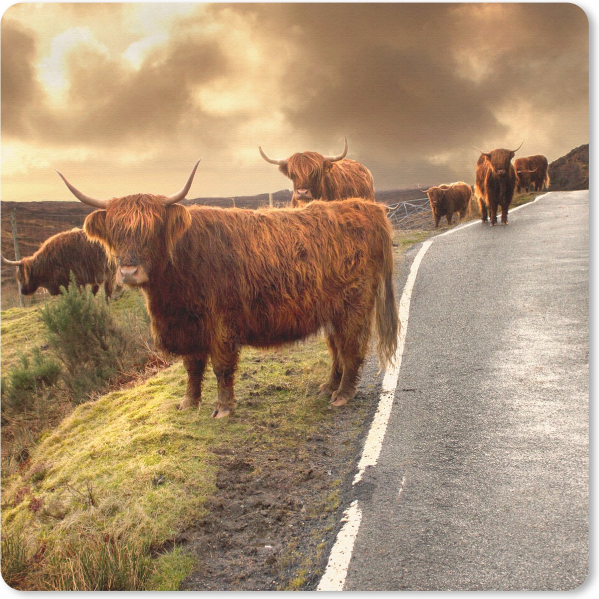 Muismat 20x20 cm - Mousepad Schotse hooglanders - Lucht - Weg - Muismatten