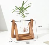De Stekjesboom - Stekstation - Droogbloemen - 1 Glazen Vaasjes - Horizontaal - Planten Stekken - Hydrocultuur - Hydroponie - Bulb Vase Plant Terrarium - Hydrocultuur Planten - (1 bollenvaas)