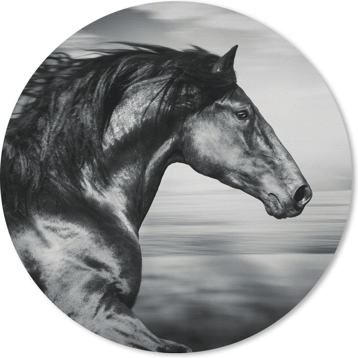 Muismat rond 50x50 cm - Mousepad Paard - Dieren - zwart - Wit - Ronde muismatten