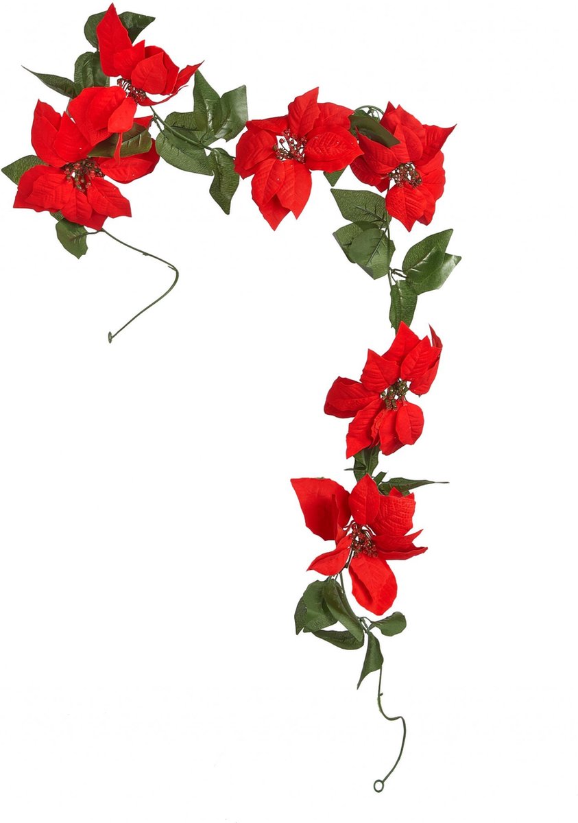 GUIRMA - Guirlande rode kerststerbloemen en bladeren 200 cm