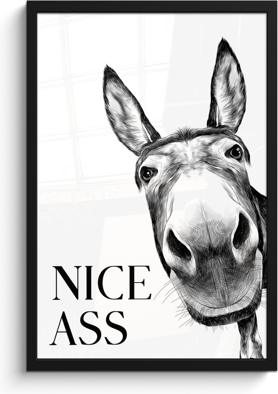 Poster in lijst - Fotolijst 40x60 cm - Posters - Quote - Ezel - Dieren - Nice ass - Spreuken - Posterlijst zwart - Wanddecoratie badkamer - Muurdecoratie WC - Decoratieve accessoires - Toilet muur decoratie