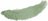 029 seaweed
